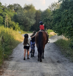 e504d141-3231-4f36-b6fb-a9cb95a611c7