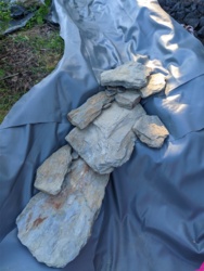 ca33cf77-ac93-484e-b536-9a8efc765aea