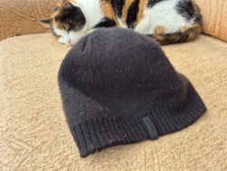 f2f3103f-c1fe-42fc-bf7e-28b5e755ab07