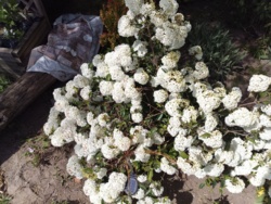 e28490a6-7454-426d-90a0-b98ab6dedd5f