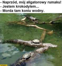 49eeafd2-50df-4530-be12-698ad2140bce