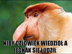 e6bf4d17-aedf-431e-a10e-8ab5564164a8