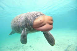 d0377d08-9d7c-4b28-8b24-afb030158419