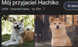 14beccb4-b675-4c1f-97c0-21b6a3e14244