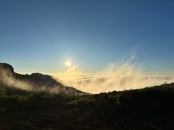 8809466e-17f5-491f-9a1f-2a831b66ab35