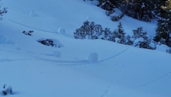 58c7f124-50ff-4b24-a580-793d33a684c7