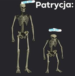 9ba8b1c4-c2a2-4e70-95a3-6f00be2e7a05