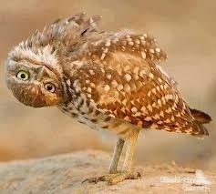 3481e085-8bdc-4375-91cf-0d2b5ad6c3d5