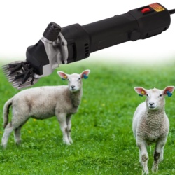 b28ed489-f536-428e-aac8-a3ad0fa1681c