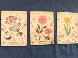 8657553b-f292-4d63-8474-8aa174607f8f