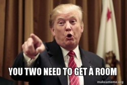 93b1b87f-bf86-44c5-98a8-96e2628b0287