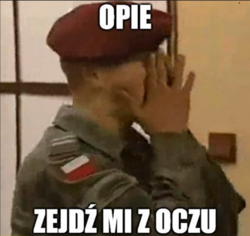 1a9b0c42-1bae-445e-a76a-06693155f2aa