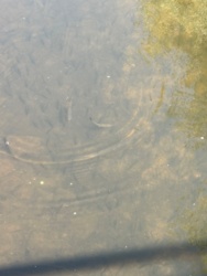 97c18d05-fe0c-4f05-8f22-28950e3bd05e