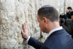 7c08547a-276b-4b9e-8fae-430ed7eb2ac3