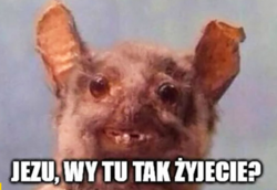 5468c6aa-2ea1-47b0-b2e4-6a593e2bf7e7