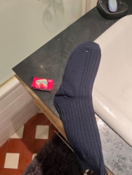 65a174eb-c2e9-4e5f-95e0-5f17c0cfca50