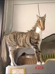 d9695d9d-3cac-4e93-a154-05081084de06