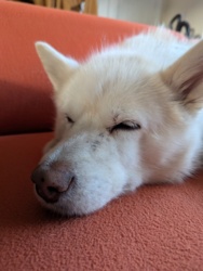 6616965d-5a96-44bc-a557-37b801c9e44b