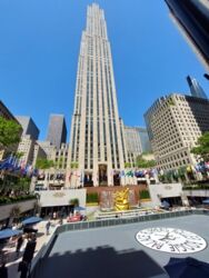 15474a91-6c1d-441c-8f8e-99dfbaa03971