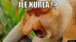 aad83f05-7149-44c6-b385-b53447c0e5fc