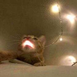 e2f9d705-f312-4fa2-bfc0-cb045d1269be