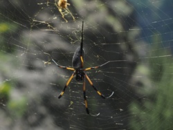 cf0781e2-3044-409d-b2b4-6ff7d6b2819c