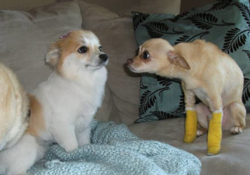 67175784-37bf-45ae-a84f-62e131ceaa09