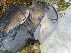 7bcb44f4-f053-4abb-a90f-7d21075c5c87