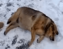 1e444ea4-afe9-4ba9-8e41-37872c846e56