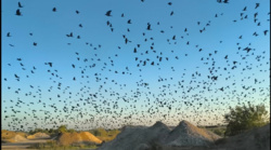 faf43cb5-6404-4079-9400-c12e40740d85