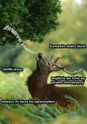 df370731-ad74-49fa-84fc-ba77ad744b5a