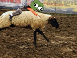 a6e18e99-16f3-45df-995f-54fc20bbc12f