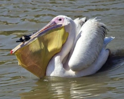 24741a43-ae36-4628-95ca-e94b028e3ce7