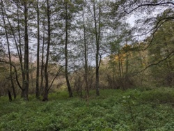 c020bfa3-dce4-4fd4-93fb-f48e3e3f9f62