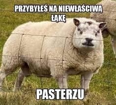 145e671f-5f86-402a-bb3d-850f044a1393