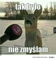 2d838d49-9324-4b65-bf16-b73bba73bba9