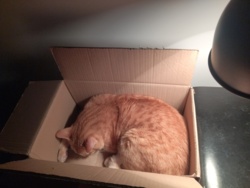 f2c4d6ed-96bf-4c1b-b870-1ddac0b7d1f0