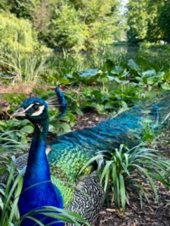 b851b7d6-c523-4baa-a74a-783880891ec4