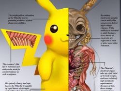 44e39061-6b91-4733-8b4e-c5d72ec2f255