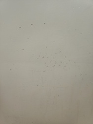 123929b0-4717-4a29-b97a-4d836822bfe5