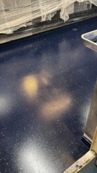 139f31c1-ffec-4236-b258-6d5e7bdd544b