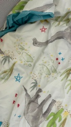 d10aeb65-c698-4c0b-b5c8-e2abfab66229