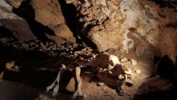 39933b44-9ce4-4c34-a559-30a4c81dd8d3