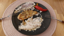 5652fbe6-3bce-4244-a5d1-dfc732fe4ae5