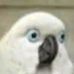 080e925b-a7b2-467d-9827-2e0f43a73323