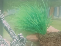 85ae5f4b-d96b-4d94-a244-1a398fad8024