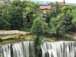 9fe303f8-eb78-4ea2-afcf-0541a85ec478