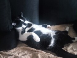 353e7955-b901-4ec7-bd3d-4e577998f6bd