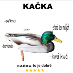 f0a73b2e-9816-4048-986f-d5673ae2aef2