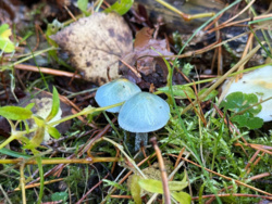 55bdb718-87db-41cd-99ad-7cc1aa01d456